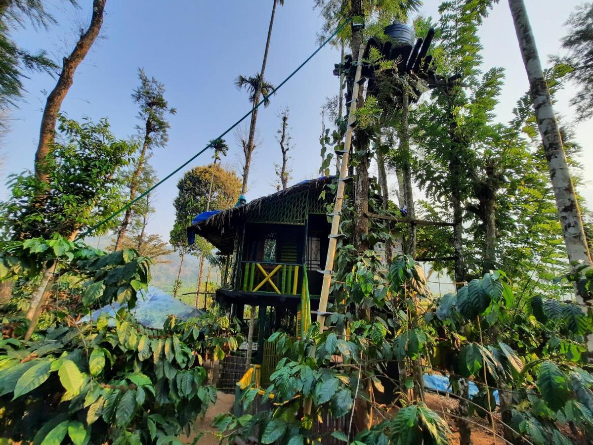 The Mountain Tree Home Wayanad Exterior foto
