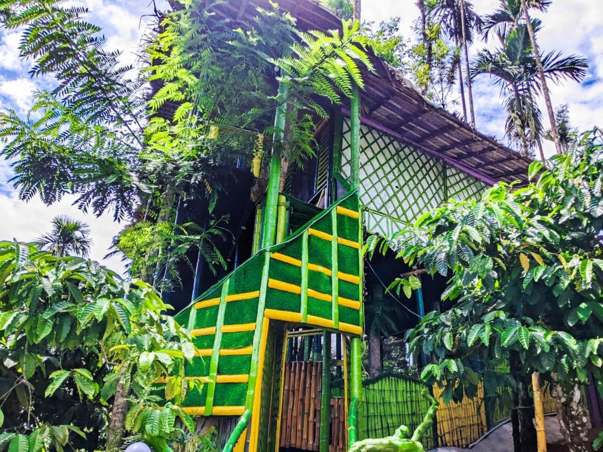 The Mountain Tree Home Wayanad Exterior foto
